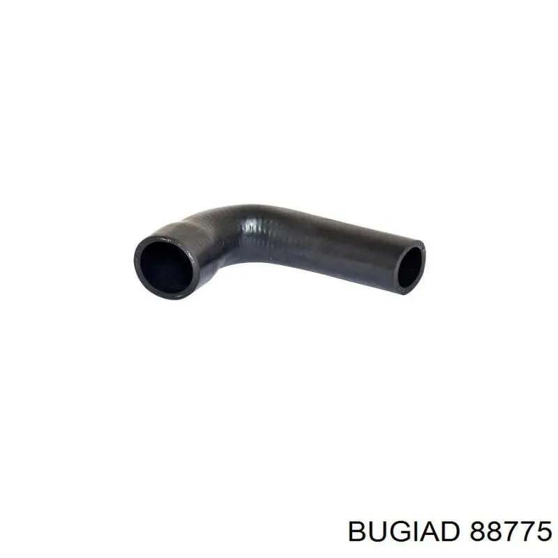 88775 Bugiad Mangueira (cano derivado) de intercooler