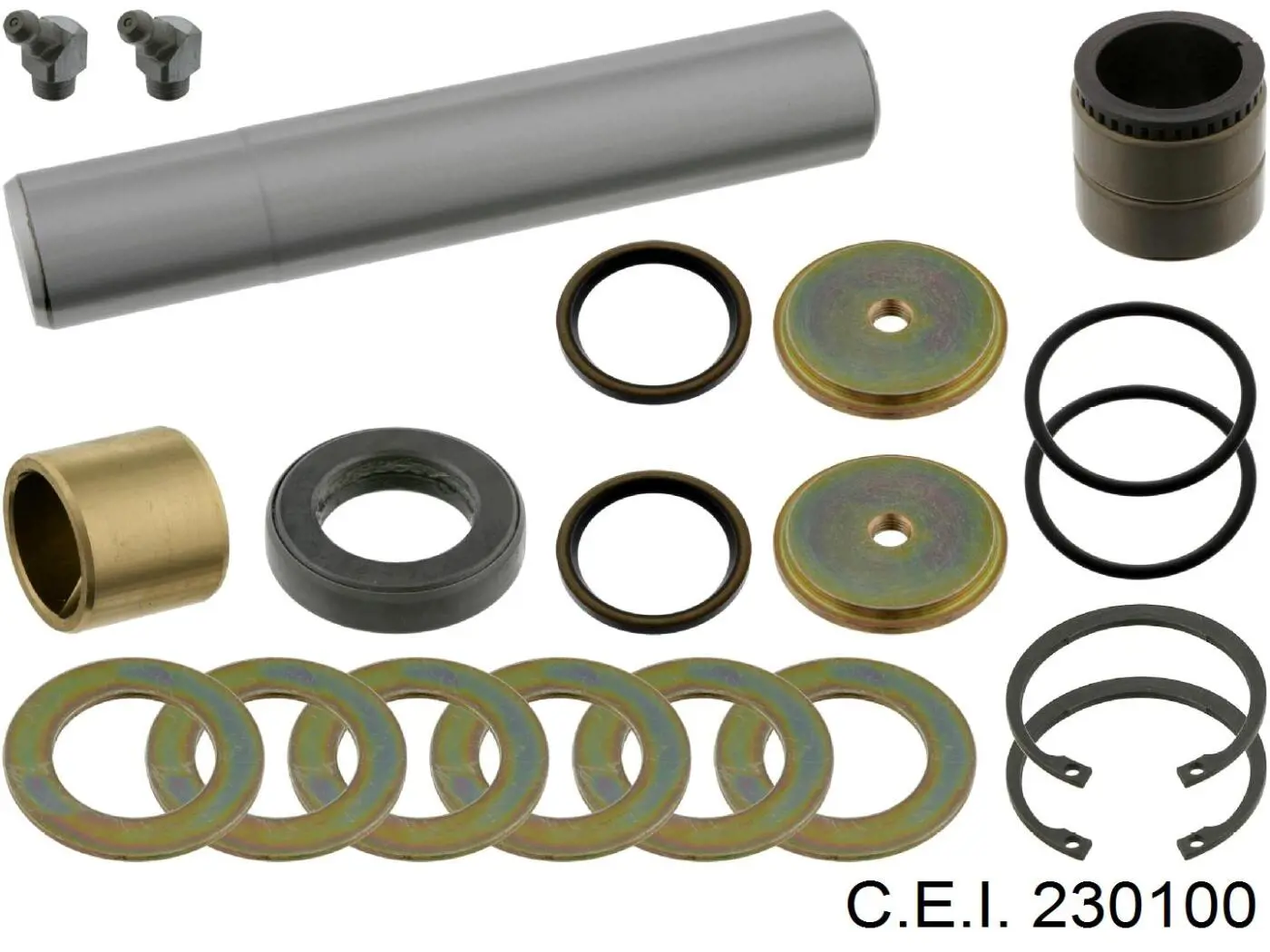 Compre 230100 C.e.i. Kit de reparação do pivô de extremidade do eixo