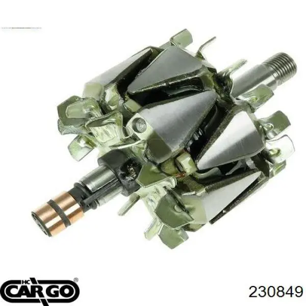 231662 Cargo Induzido (rotor) do gerador
