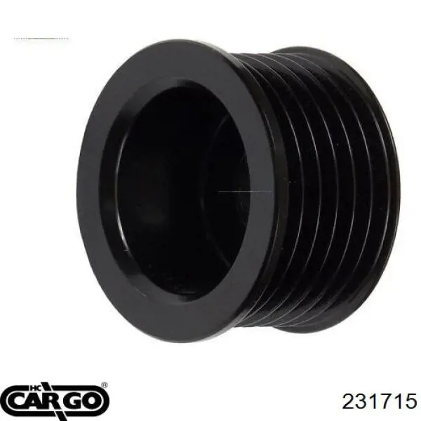 231715 Cargo Polia do gerador