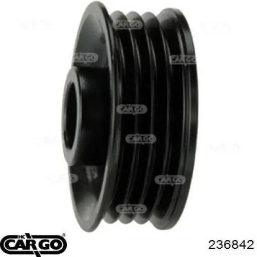 236842 Cargo Polia do gerador