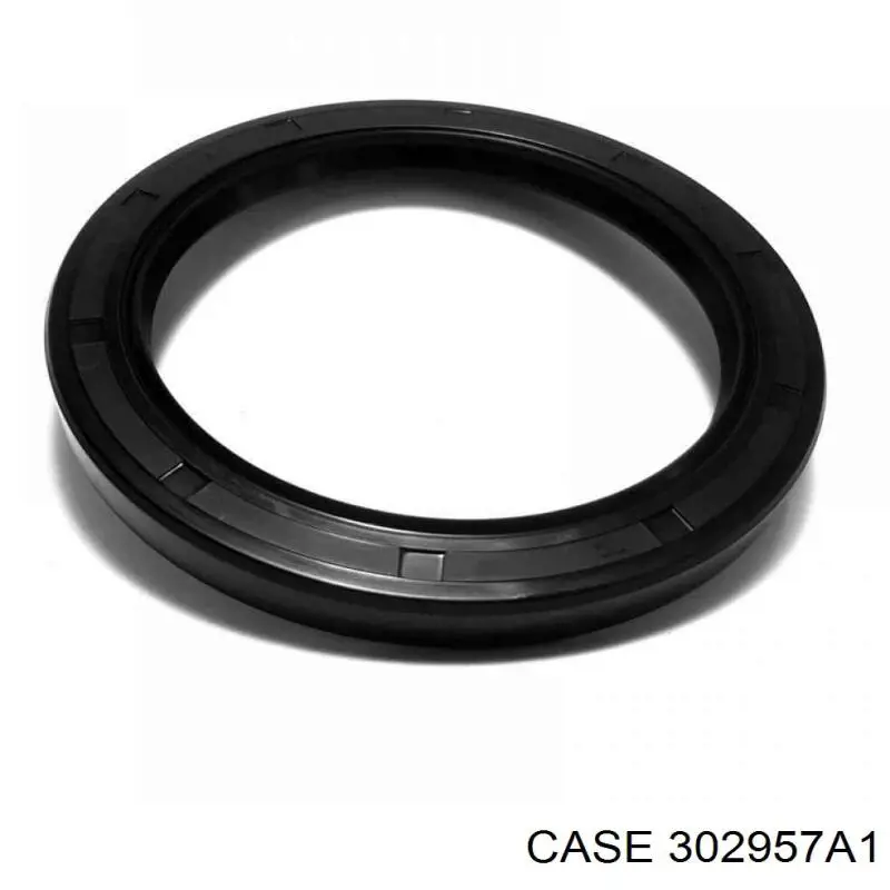 Anel de vedação, universal Case 302957A1 preço, a partir de 16,73 USD