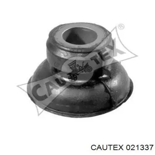 021337 Cautex 