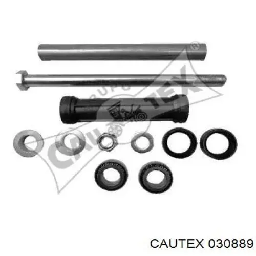 030889 Cautex 
