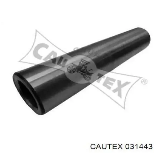 Compre 031443 Cautex Viga de suspensão traseira (plataforma veicular)