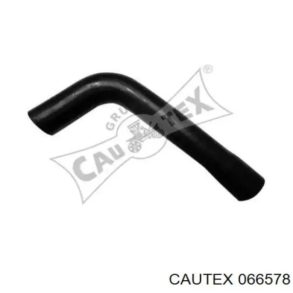 Compre 066578 Cautex Mangueira (cano derivado) do radiador de esfriamento superior