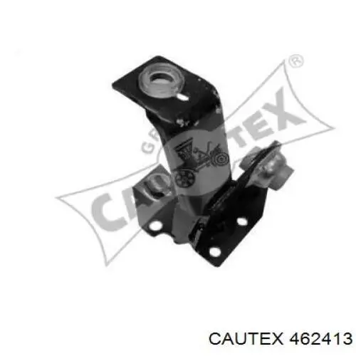 Compre 462413 Cautex 