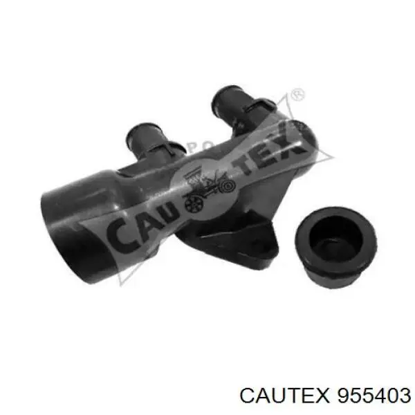 955403 Cautex 