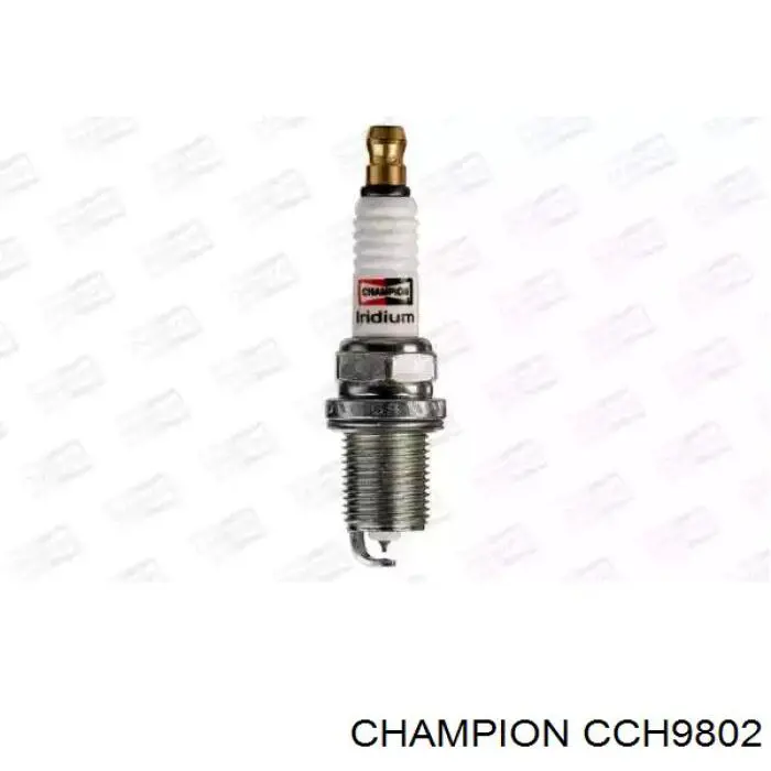 CCH9802 Champion Vela de ignição