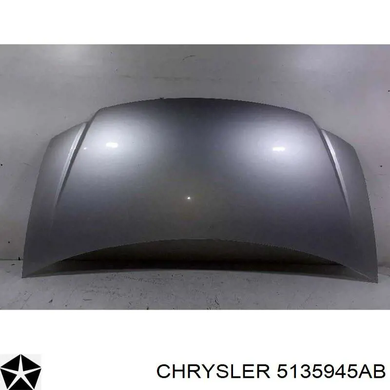 Porta traseira (3ª/5ª porta-malas (tampa de alcapão) Chrysler 5135945AB preço, a partir de 412,73 USD