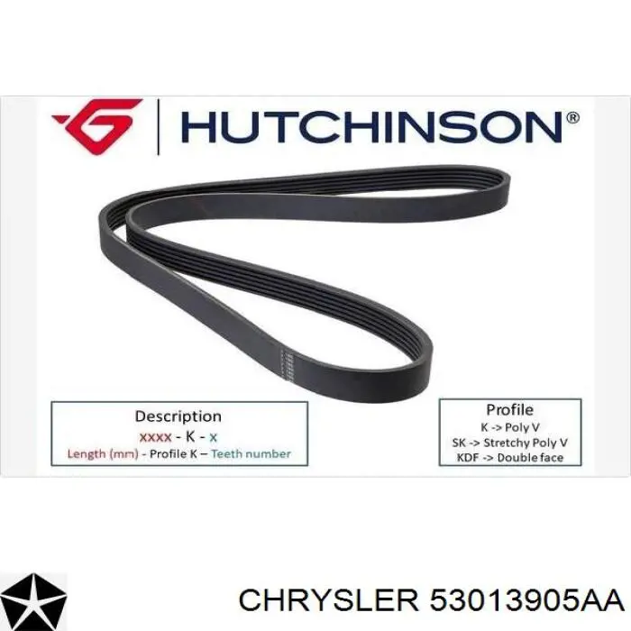 Compre 53013905AA Chrysler Correia dos conjuntos de transmissão