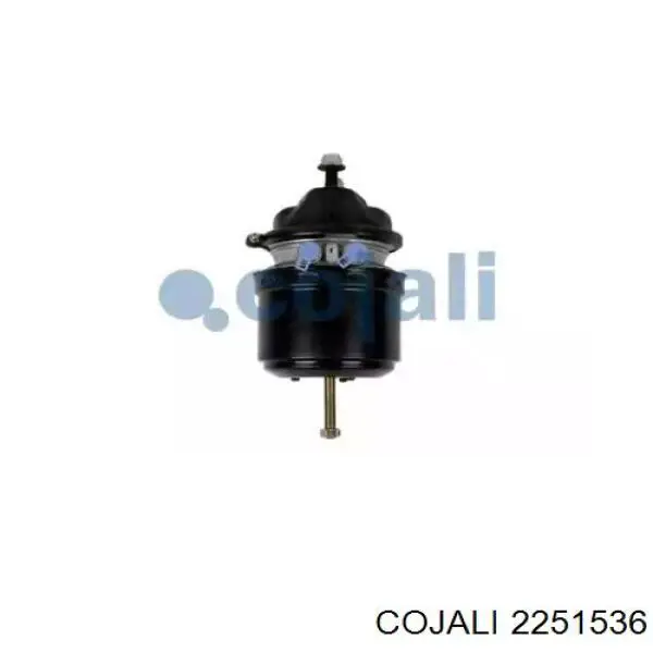 02243060X AIR Fren Câmara do freio (Acumulador de energia)