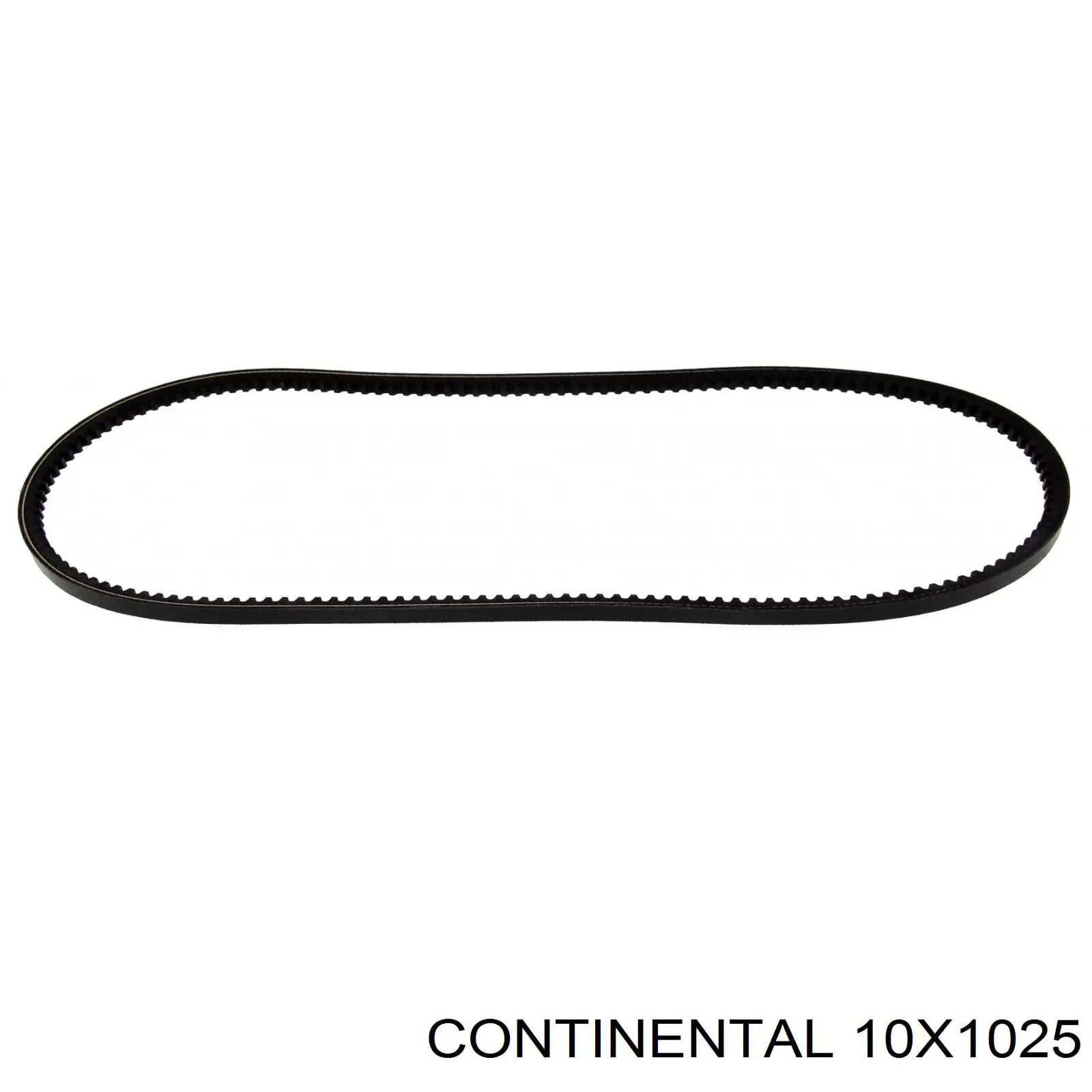 Compre 10X1025 Continental/Siemens Correia dos conjuntos de transmissão