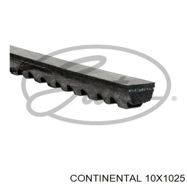Correia dos conjuntos de transmissão 10X1025 Continental/Siemens