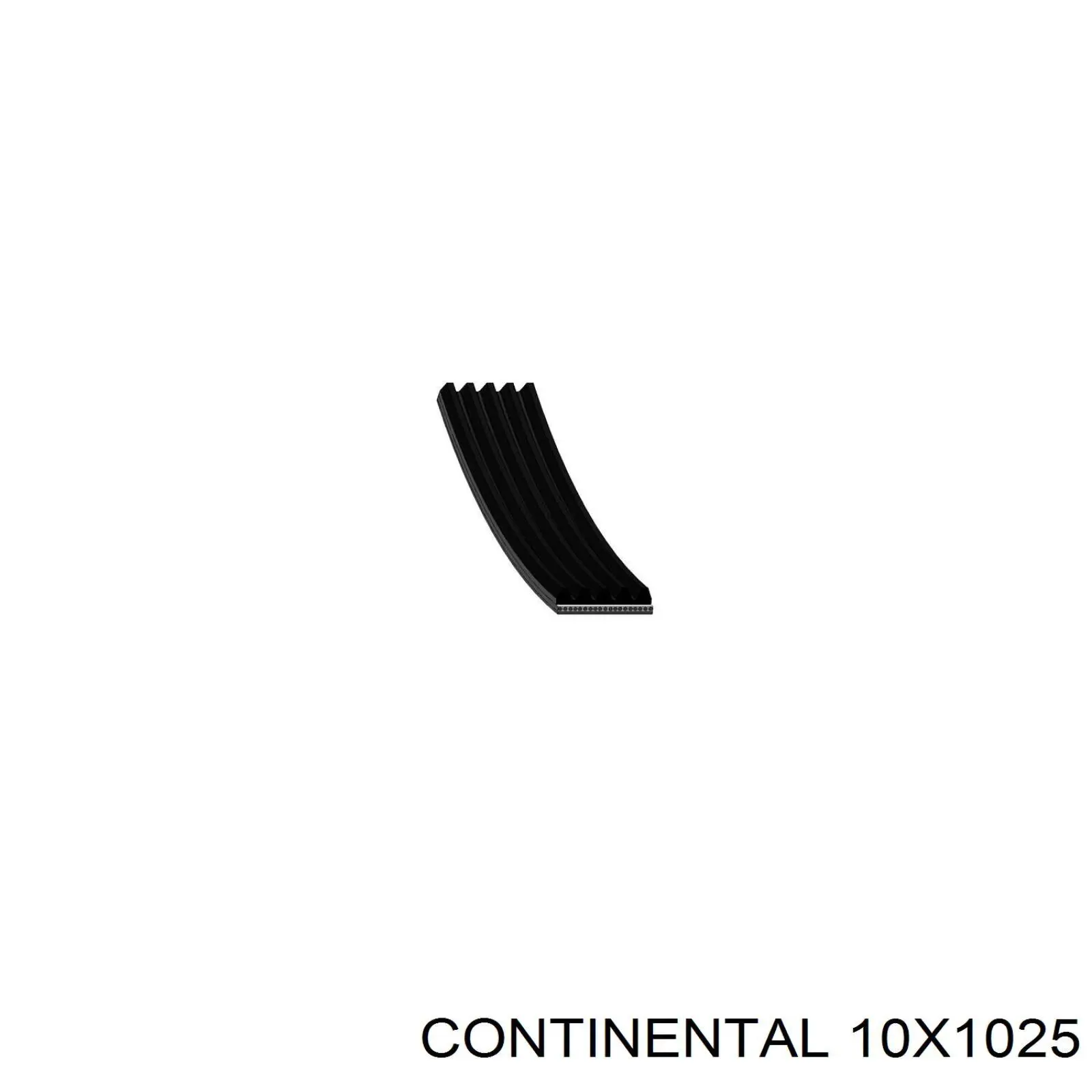  Continental/Siemens 10X1025
