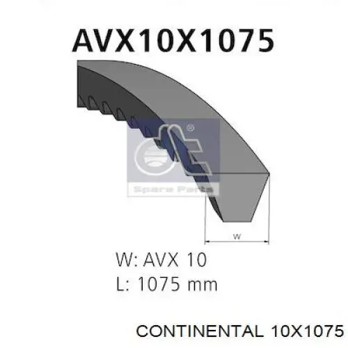 Compre 10X1075 Continental/Siemens Correia dos conjuntos de transmissão