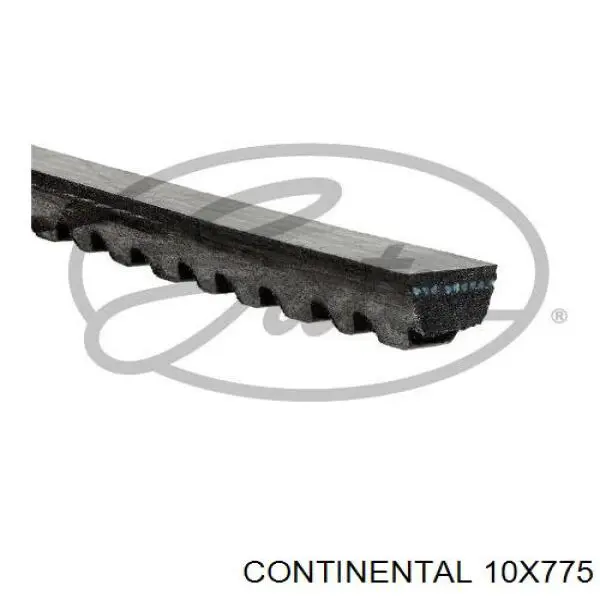 10X775 Continental/Siemens Correia dos conjuntos de transmissão
