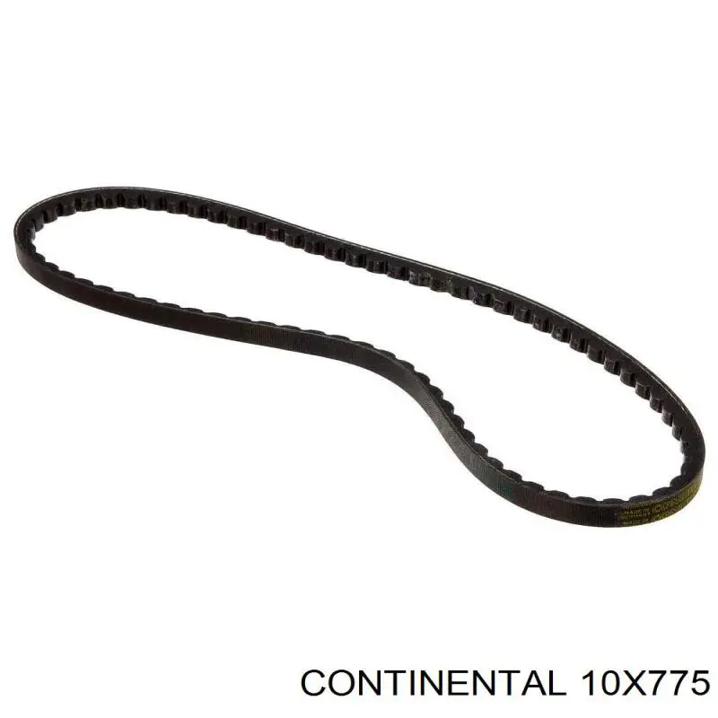 Compre 10X775 Continental/Siemens Correia dos conjuntos de transmissão