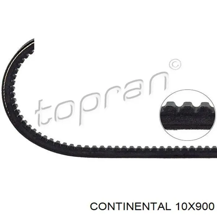 10X900 Continental/Siemens Correia dos conjuntos de transmissão