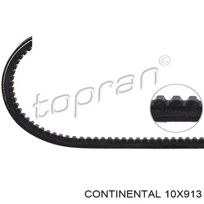 Correia dos conjuntos de transmissão Continental/Siemens 10X913 preço, a partir de 10,10 USD