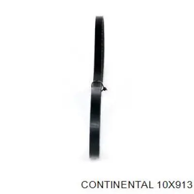 Compre 10X913 Continental/Siemens Correia dos conjuntos de transmissão