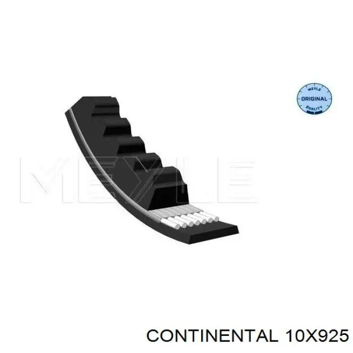 10X925 Continental/Siemens Correia dos conjuntos de transmissão