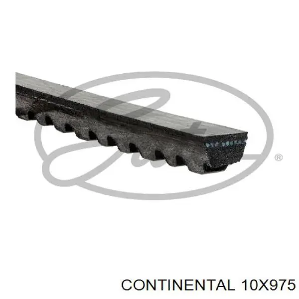 Correia dos conjuntos de transmissão Continental/Siemens 10X975 preço, a partir de 10,72 USD