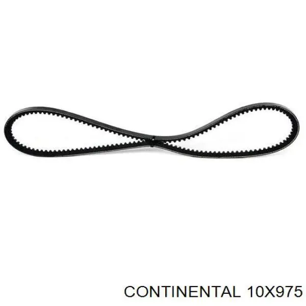 Compre 10X975 Continental/Siemens Correia dos conjuntos de transmissão