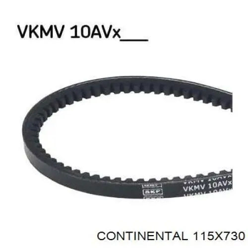 115X730 Continental/Siemens Correia dos conjuntos de transmissão