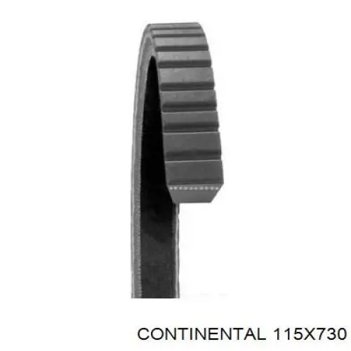 115X730 Continental/Siemens Correia dos conjuntos de transmissão