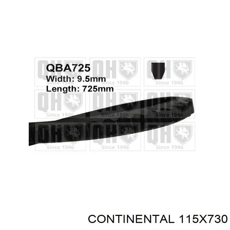 Compre 115X730 Continental/Siemens Correia dos conjuntos de transmissão