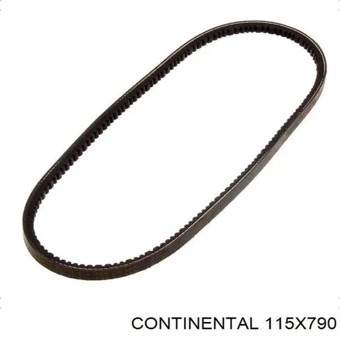 115X790 Continental/Siemens Correia dos conjuntos de transmissão