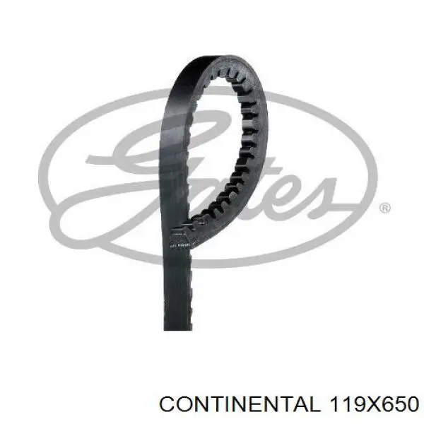 Compre 119X650 Continental/Siemens Correia dos conjuntos de transmissão