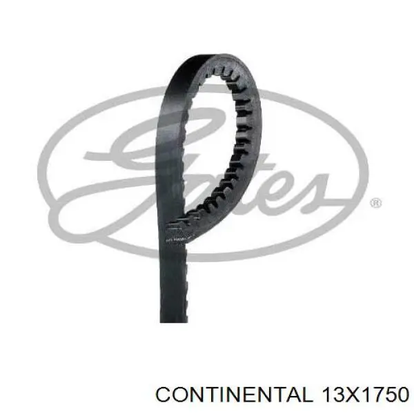 Compre 13A1750C Dayco Correia dos conjuntos de transmissão