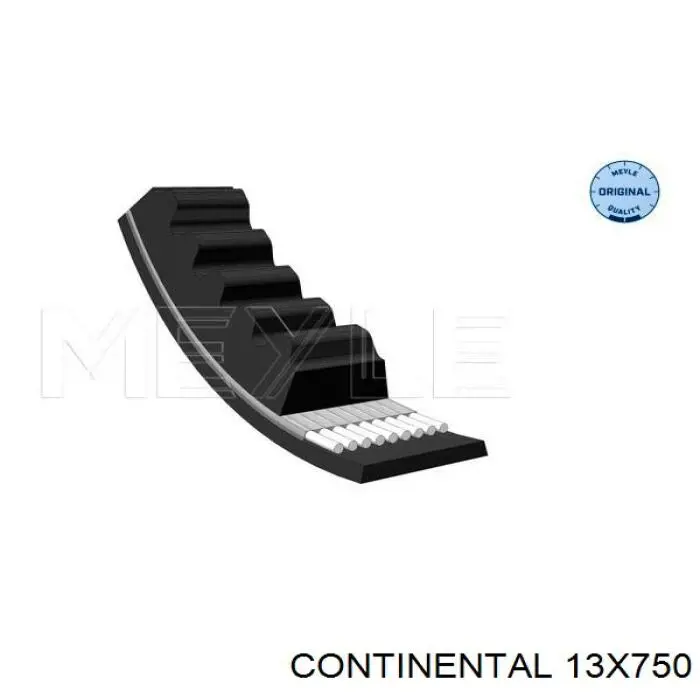 13X750 Continental/Siemens Correia dos conjuntos de transmissão