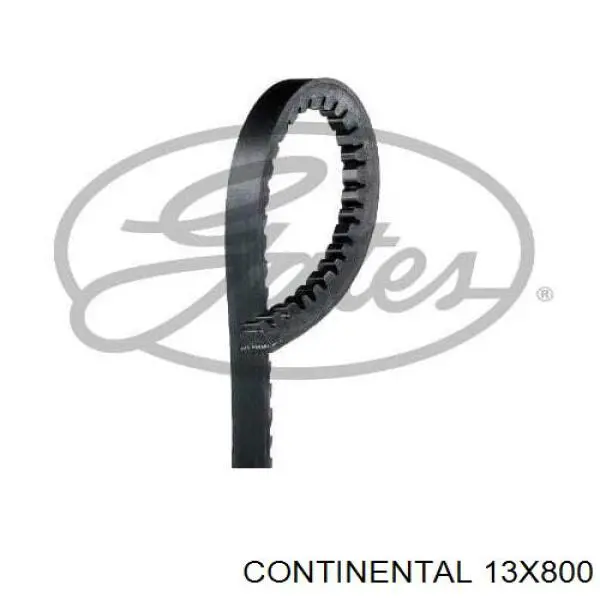 13X800 Continental/Siemens Correia dos conjuntos de transmissão
