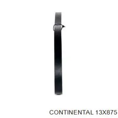 Compre 13X875 Continental/Siemens Correia dos conjuntos de transmissão