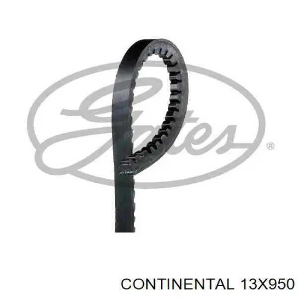 13X950 Continental/Siemens Correia dos conjuntos de transmissão