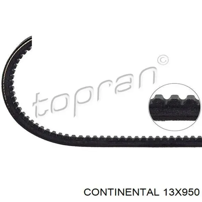Correia dos conjuntos de transmissão Continental/Siemens 13X950 preço, a partir de 11,99 USD