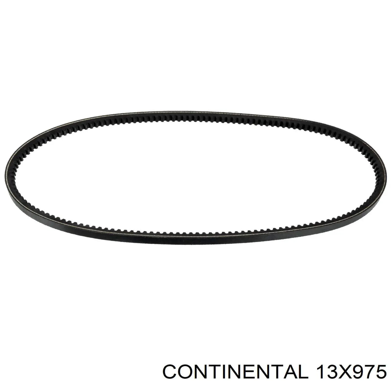 Correia dos conjuntos de transmissão Continental/Siemens 13X975 preço, a partir de 14,61 USD