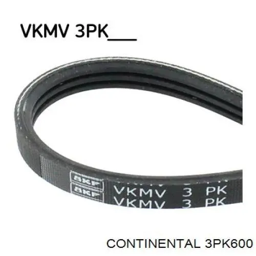 3PK600 Continental/Siemens Correia dos conjuntos de transmissão