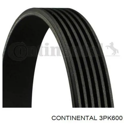 Correia dos conjuntos de transmissão Continental/Siemens 3PK600