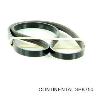 Compre 3PK750 Continental/Siemens Correia dos conjuntos de transmissão