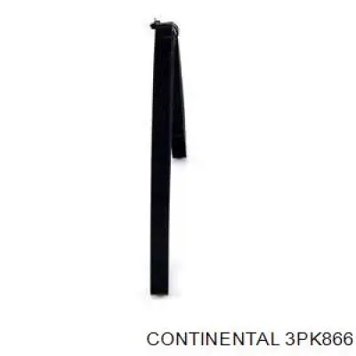 Compre 3PK866 Continental/Siemens Correia dos conjuntos de transmissão