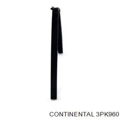 Compre 3PK960 Continental/Siemens Correia dos conjuntos de transmissão