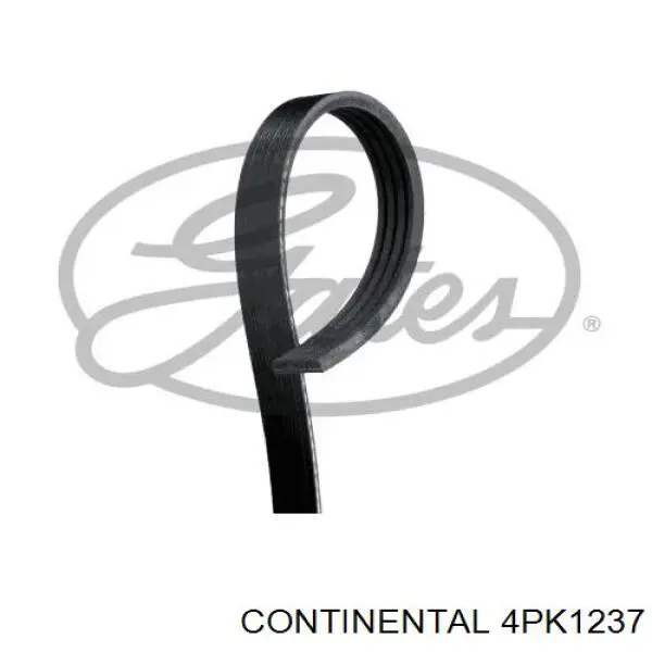 4PK1237 Continental/Siemens Correia dos conjuntos de transmissão