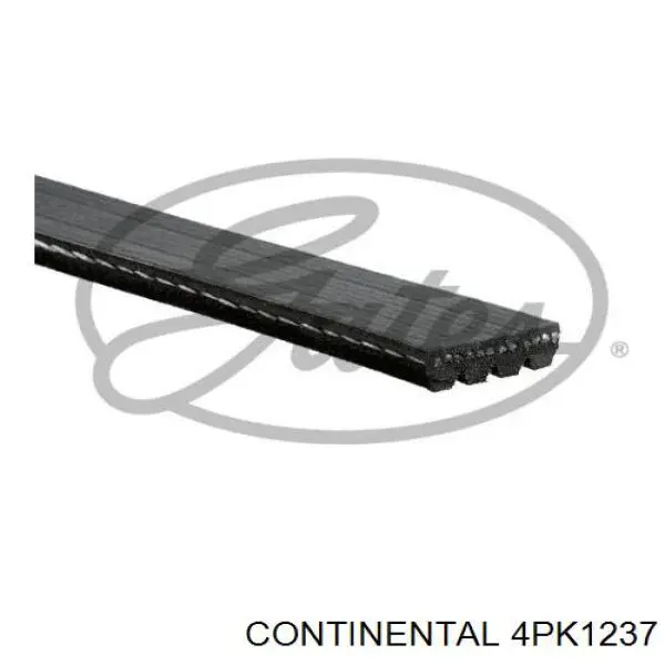 4PK1237 Continental/Siemens Correia dos conjuntos de transmissão
