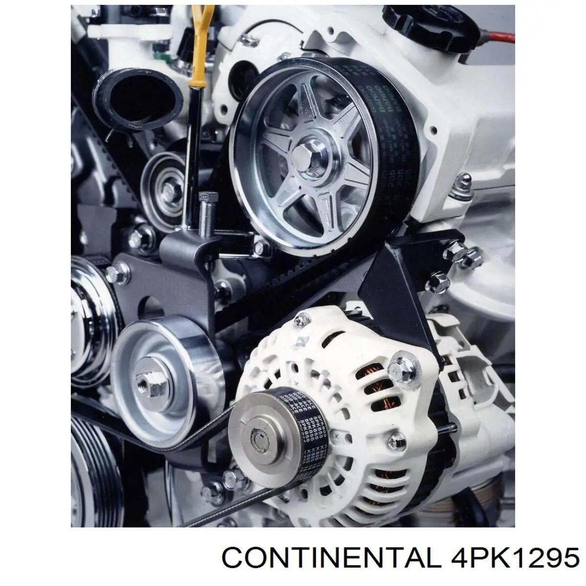Compre 4PK1295 Continental/Siemens Correia dos conjuntos de transmissão