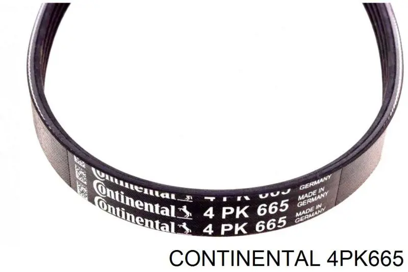Compre 4PK665 Continental/Siemens Correia dos conjuntos de transmissão