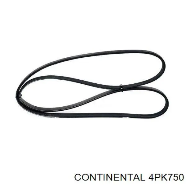Compre 4PK750 Continental/Siemens Correia dos conjuntos de transmissão